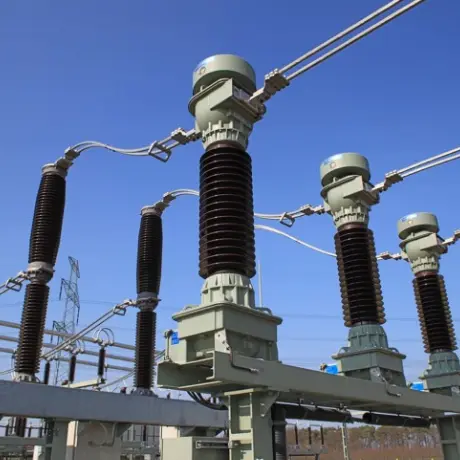 Vysokonapäťový 11kv lisovaný vákuový prerušovač